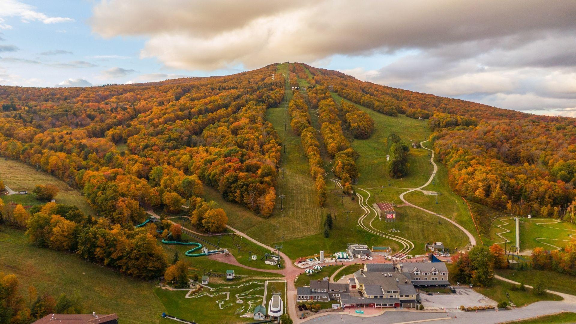 Fall Drone