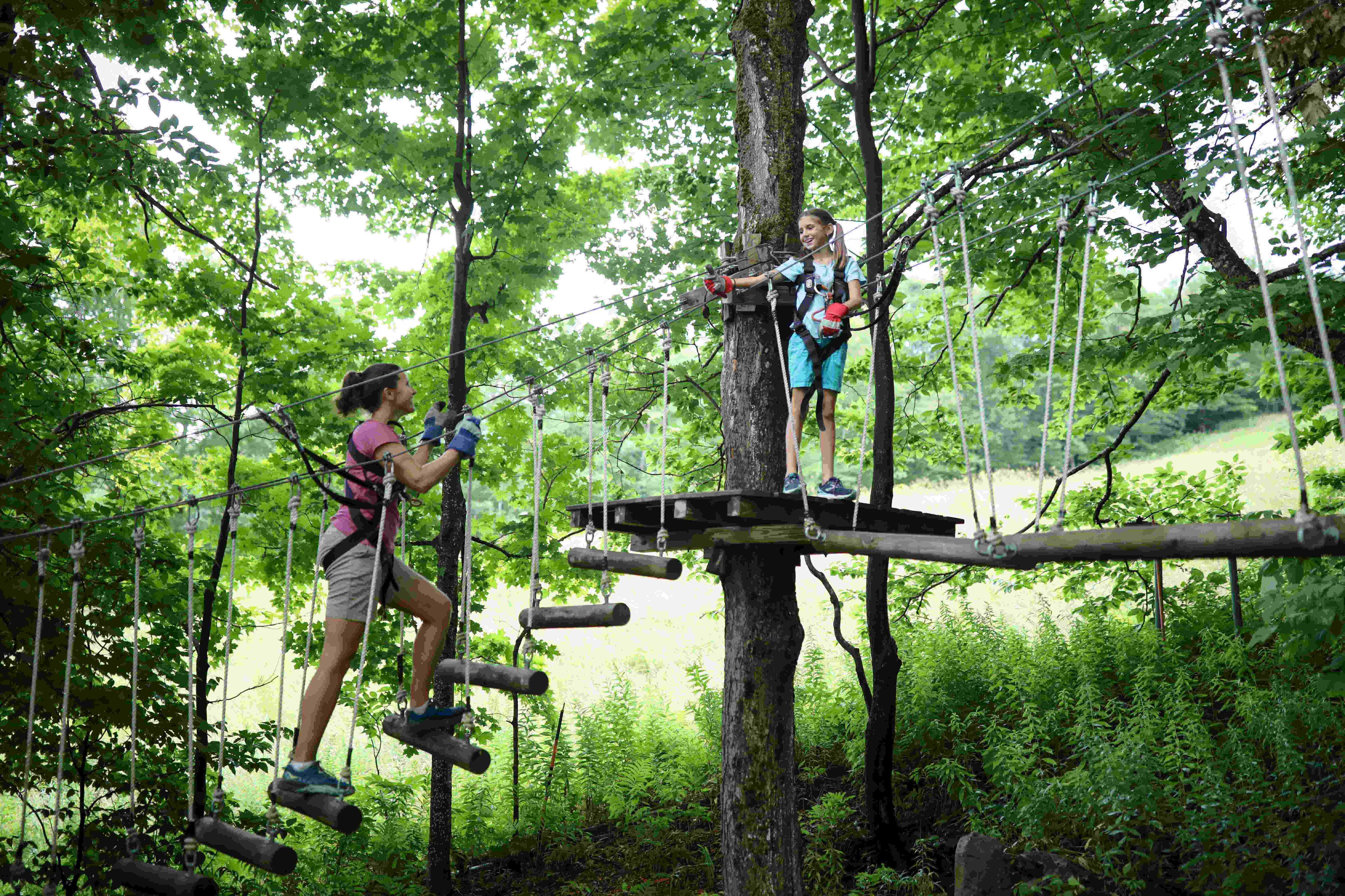 Treetop adventure course hero resized